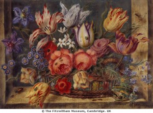 Якоб Моррель. Цветы в вазе и лягушка. Fitzwilliam Museum, UK Якоб Моррель. Цветы в вазе и лягушка. Fitzwilliam Museum, UK