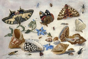 van Kessel Ян ван Кессель