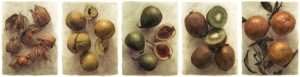 plants_7
