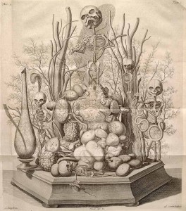 Frederik Ruysch's Anatomical drawings